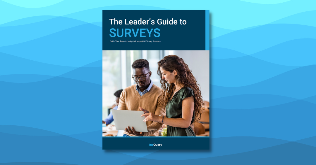 Cover to the Leader's Guide to Surveys