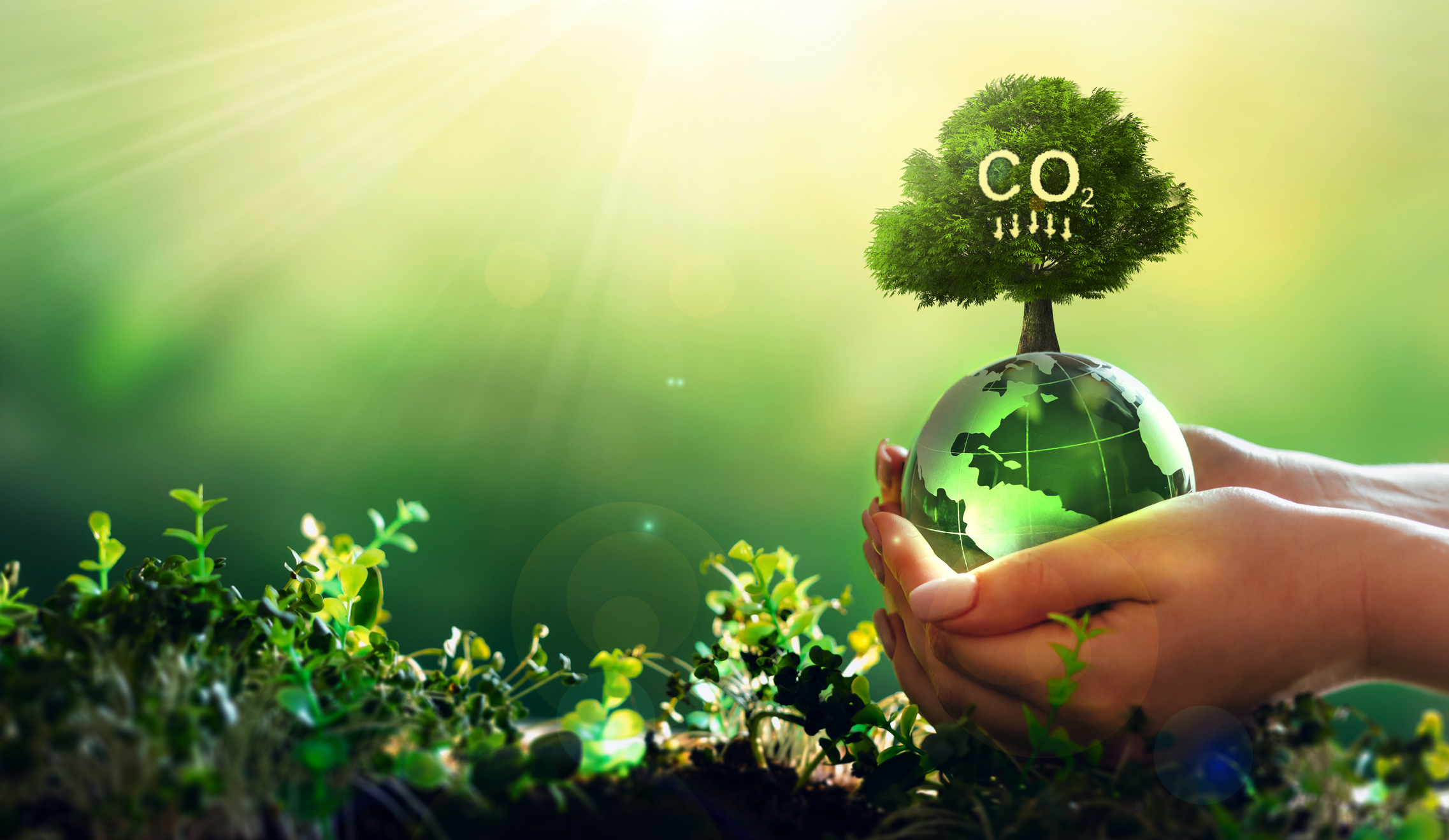 Inc-Query’s Commitment to Carbon Neutrality